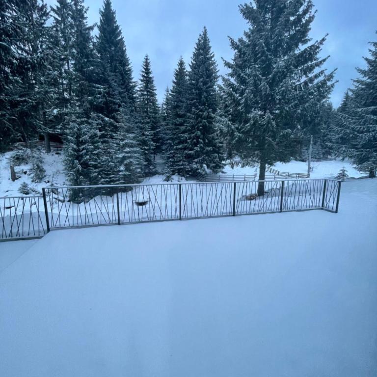 Harmony Peak Jahorina - Apartman sa 1 Spavaćom Sobom - 49