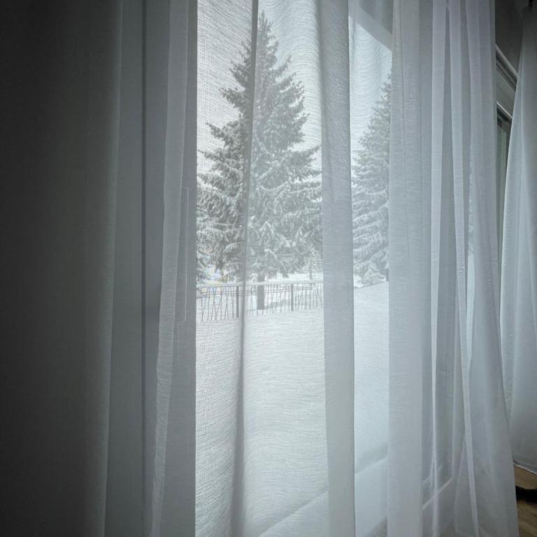 Harmony Peak Jahorina - Apartman sa 1 Spavaćom Sobom - 52