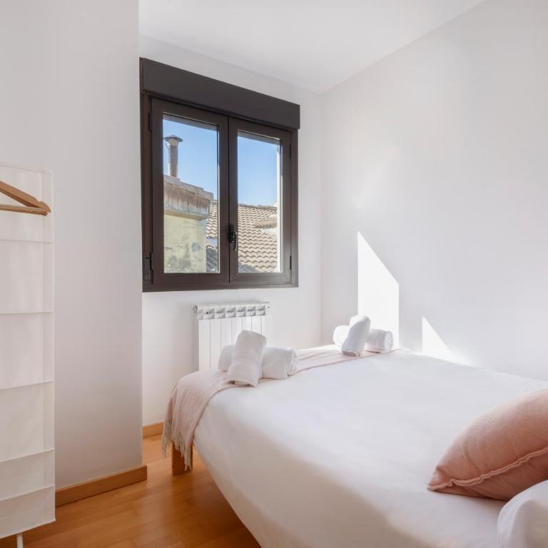Biscos 9 Catedral Jaca - Apartamento de 3 dormitorios - 7