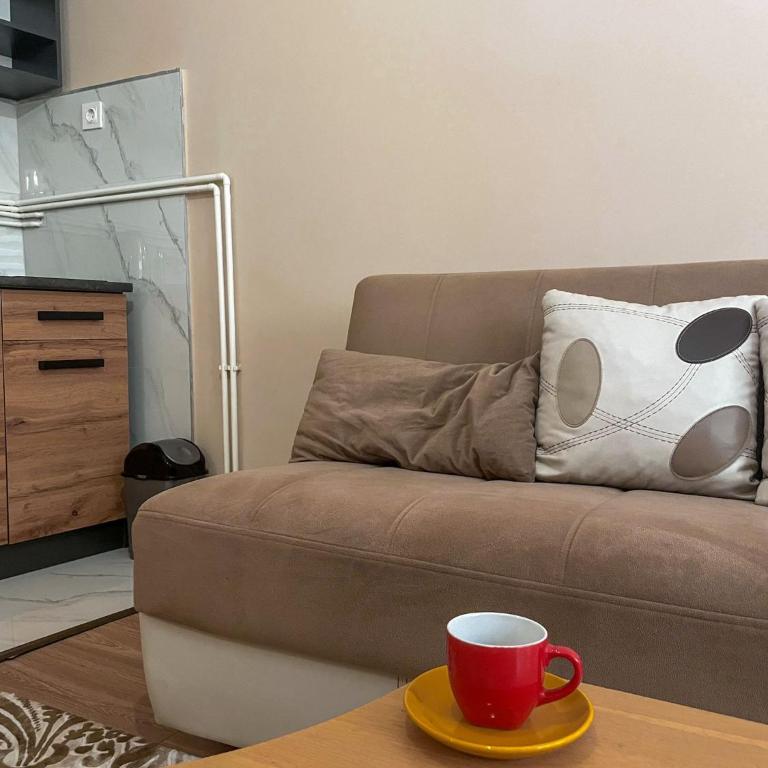 Hotel Berr - Deluks Apartman s 1 Spavaćom Sobom - 2