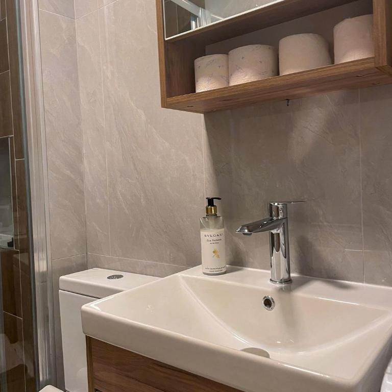 Hotel Berr - Deluks Apartman s 1 Spavaćom Sobom - 9
