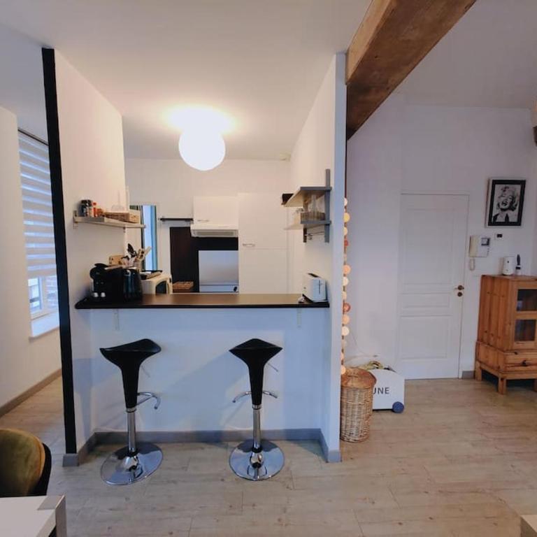 Appartement lumineux et calme parking gratuit - Appartement 2 Chambres - 6