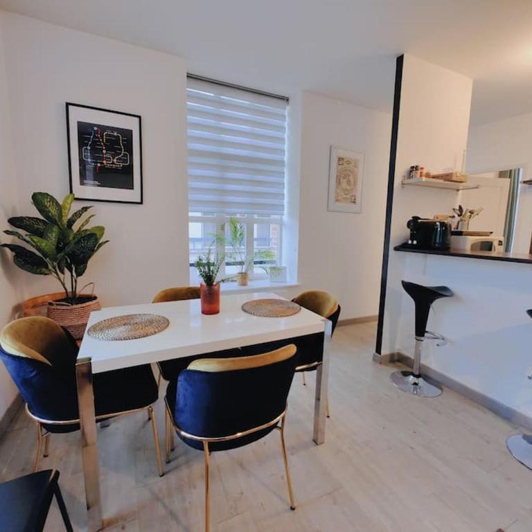Appartement lumineux et calme parking gratuit - Appartement 2 Chambres - 10