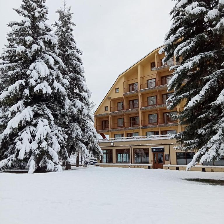 Apartamentos SNÖ Cerler - Appartamento con 1 Camera da Letto - 1