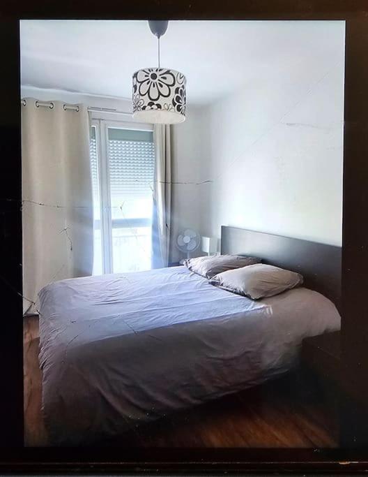 Chez Pascal Sissi -Grand Appart,Ile Nantes, CCgrés - Appartamento con 1 Camera da Letto - 3