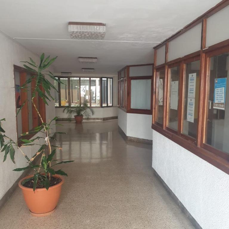 Gold Oasis Apartment - Apartamento de 1 dormitorio - 27