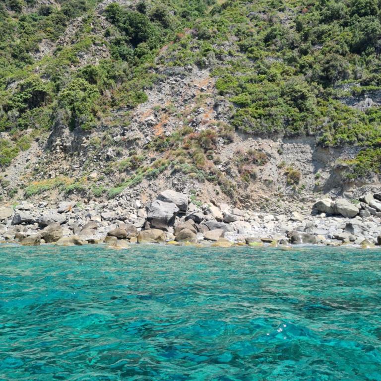 "Pini House", Private Park, shared Pool, Tennis with rackets, AC, Parking next home, additional Parking in Lerici, Cooking Lesson and Wine Tasting - Casa con 2 Camere da Letto - 63