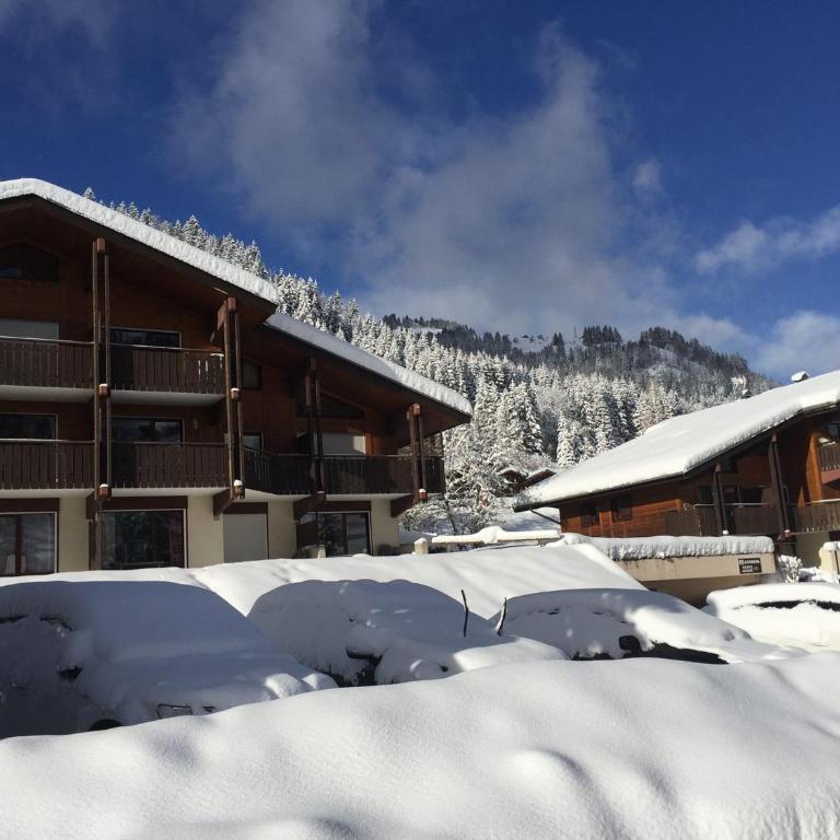 Confortable 3 pièces, départ ski, parking, WiFi, La Clusaz - FR-1-459-38 - Apartment (6 Adults) - 16