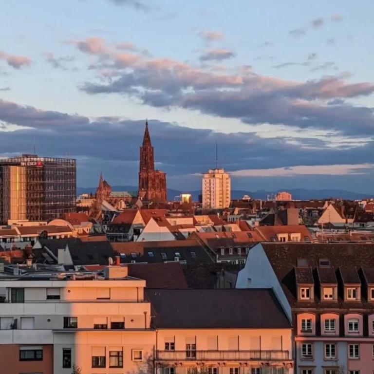 Appartement Strasbourg Centre - Apartamento de 1 dormitorio - 10