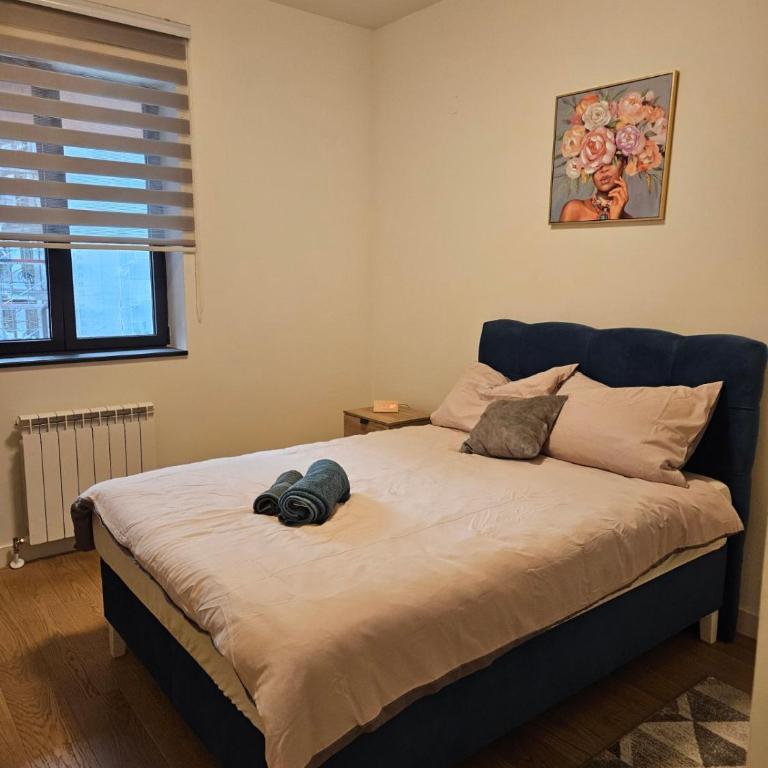 BwMils Apartment - Apartman sa 1 Spavaćom Sobom - 6