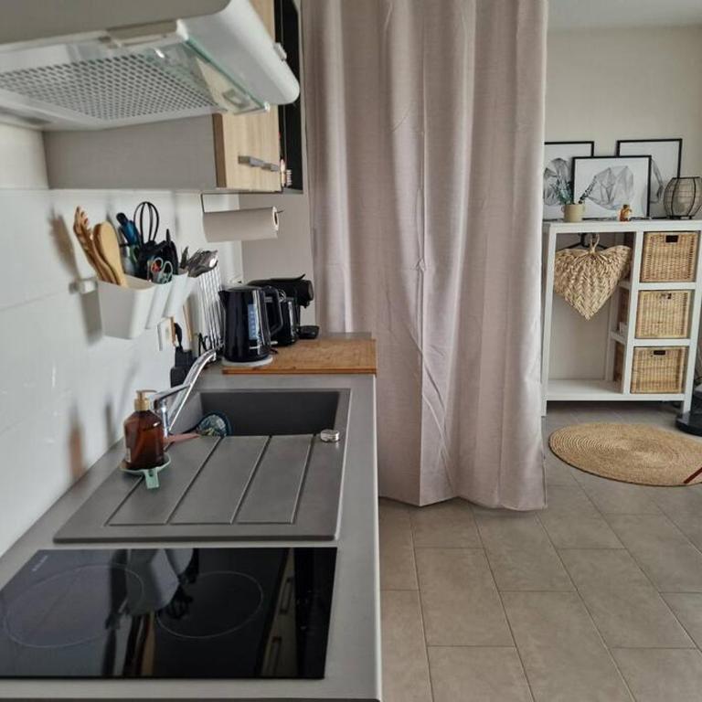 Ambre Appart-Wifi-Terrasse-Parking-Terrasse-2 couchages - Appartamento con 1 Camera da Letto - 10