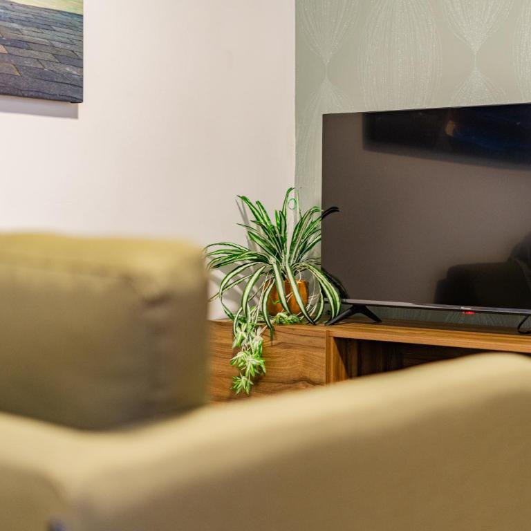Condesa Zamora Lofts by VH - Apartamento de 1 dormitorio - 12