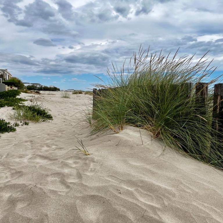 Les Sables de Palavas - T2 à 50m de la plage - clim, wifi - Appartement 1 Chambre - 17