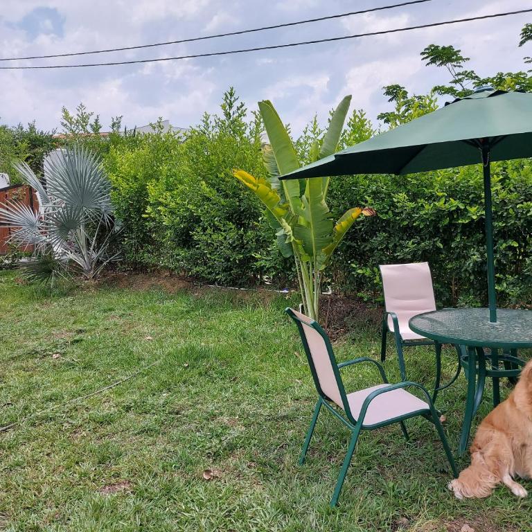 Finca Ecológica Sopetran - Three-Bedroom House - 19