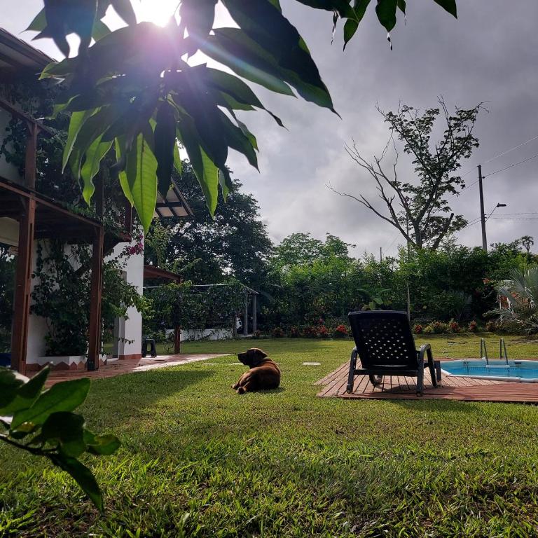 Finca Ecológica Sopetran - Casa de 3 dormitorios - 35