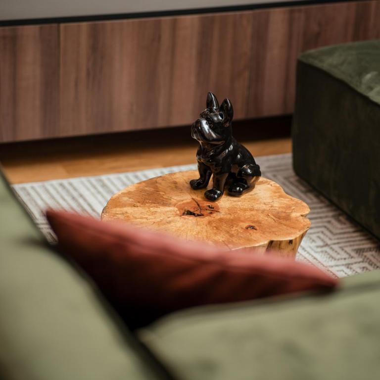 Sonrisa Apartments Kolasin - Apartman s 1 Spavaćom Sobom i Balkonom - 9