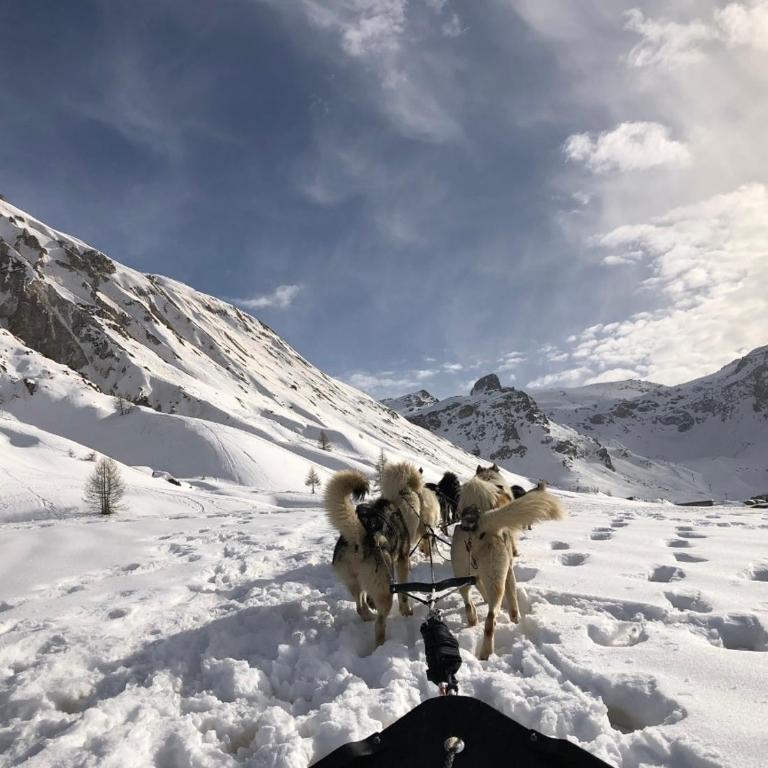 Appartement neuf et cosy les Tommeuses vue splendide, sur piste, Tignes Val Claret - Appartamento con 2 Camere da Letto e con Vista Montagna - 26