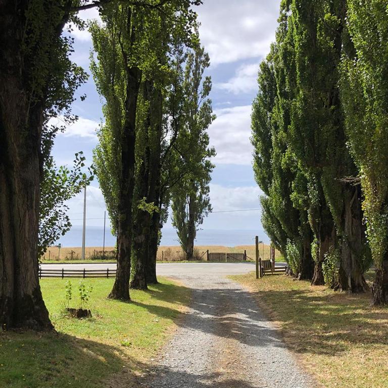 Cabañas en Río Pescado - Chalet de 2 dormitorios - 25