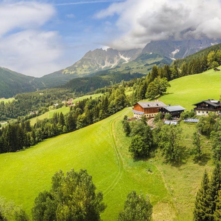 Almhütte Brandgut - Chalet - 60