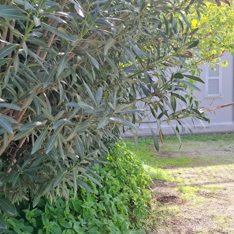 Altavilla Apartments Roma - Appartamento con 1 Camera da Letto - 24