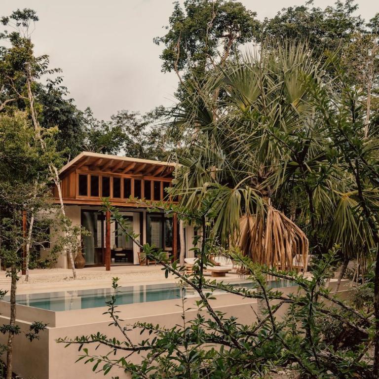 Casa Tropical 4BR Pool and Enchanting Cenote - Villa - 4