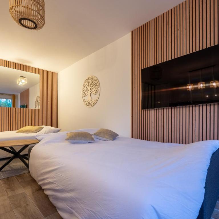Disneyland-Charmant appartement 8 personnes-Terrasse-Gare-Parking - Appartement 2 Chambres - 30