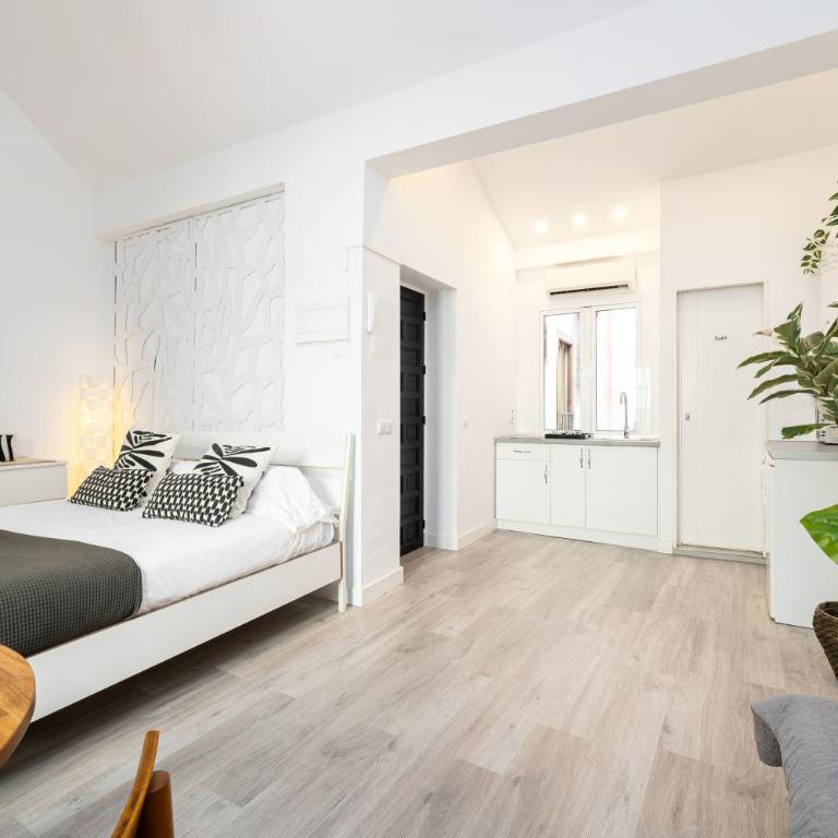 H2M Hiniestrosa Studio french Balcony AACC WIFI - Estudio - 13