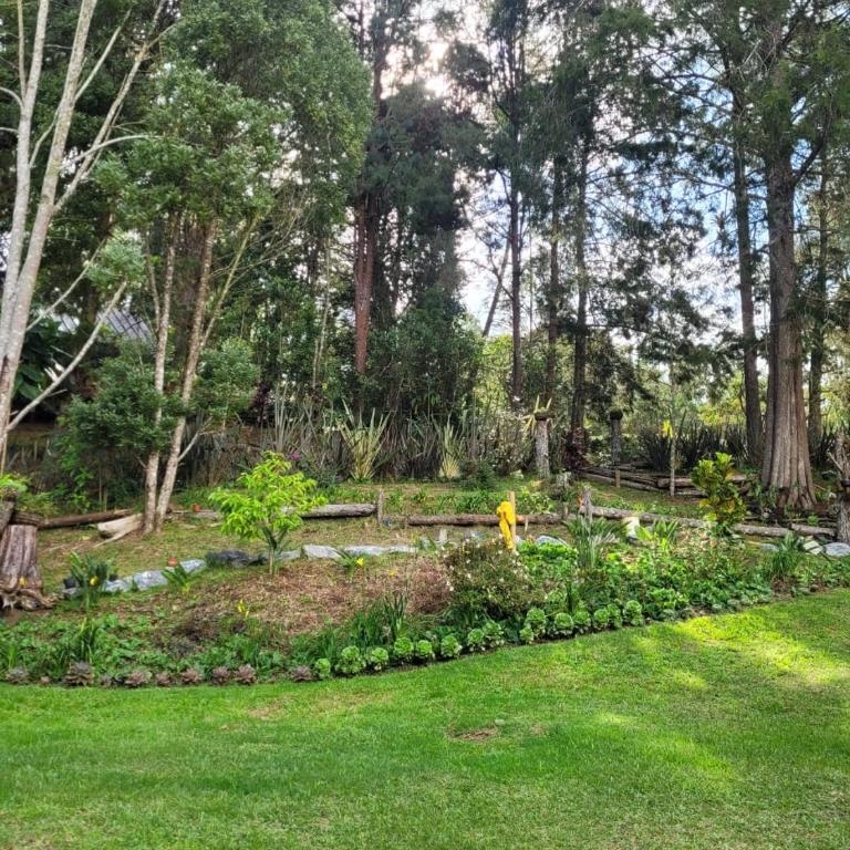 La Pascana Ecolodge frente al parque Arví Entorno natural excepcional, reserva natural, áreas protegidas, conexión con la naturaleza y avistamiento de aves a 3km del metrocable Guarne - Apartamento de 2 dormitorios - 14