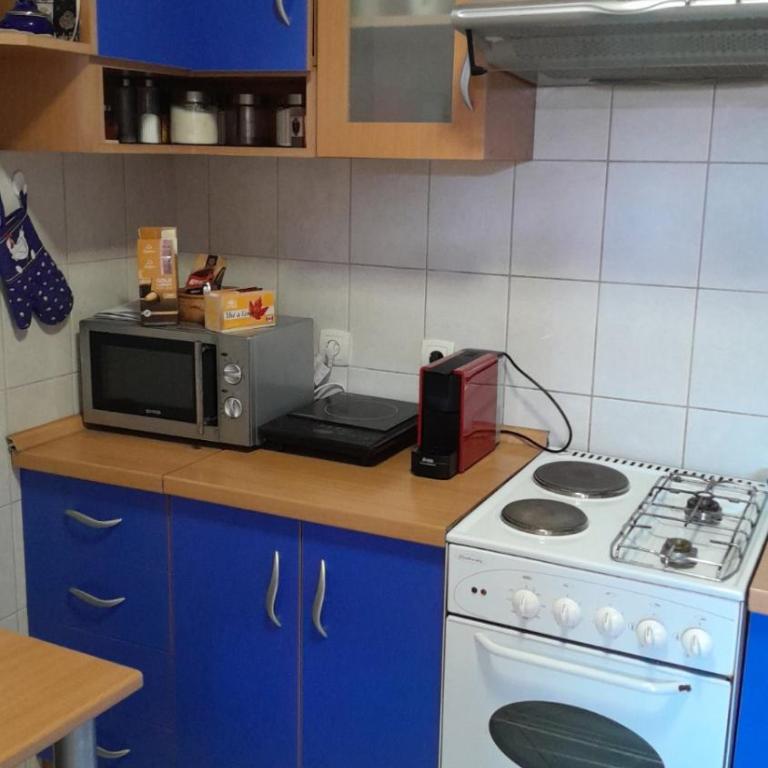 Plavi apartman Airport - Apartman - 30