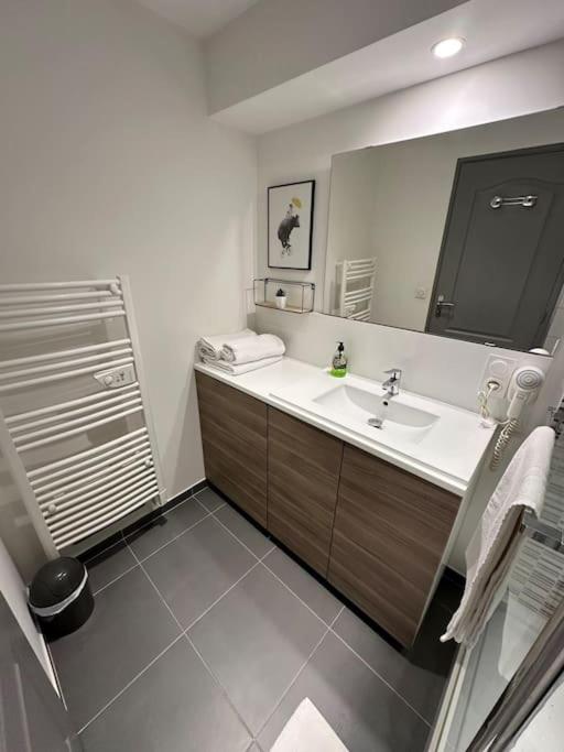 LE DOUILLET - Parking gratuit - Centre ville - Appartement 2 Chambres - 20
