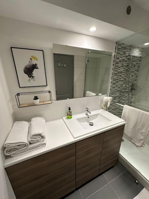 LE DOUILLET - Parking gratuit - Centre ville - Appartement 2 Chambres - 21