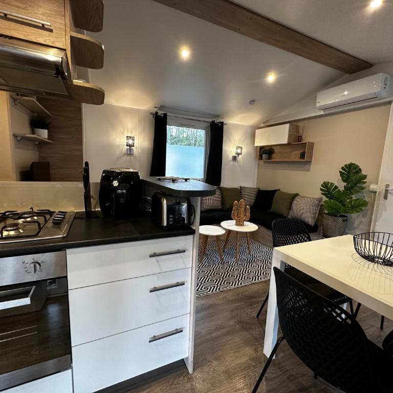 Grand Mobil Home Tout Confort pour 6 personnes - Camping Les Oyats 4 étoiles - Mobile Home - 5