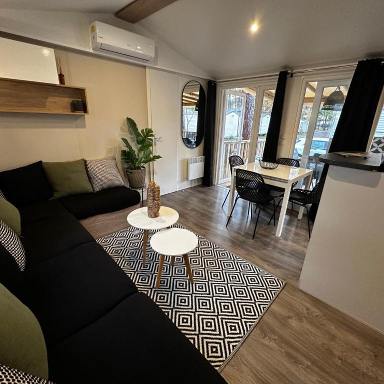 Grand Mobil Home Tout Confort pour 6 personnes - Camping Les Oyats 4 étoiles - Mobile Home - 2