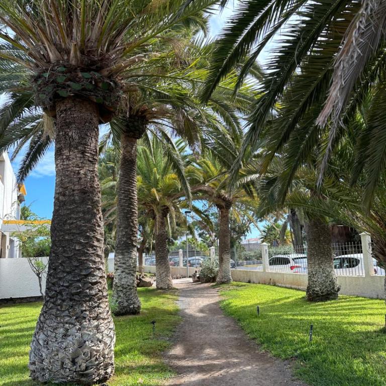 Hercules 2 bedroom Apartment, Costa del Silencio - Apartamento de 2 dormitorios - 10