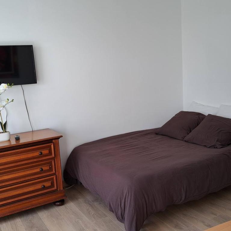 appartement cosy lumineux très confortable - Apartment mit 1 Schlafzimmer - 4