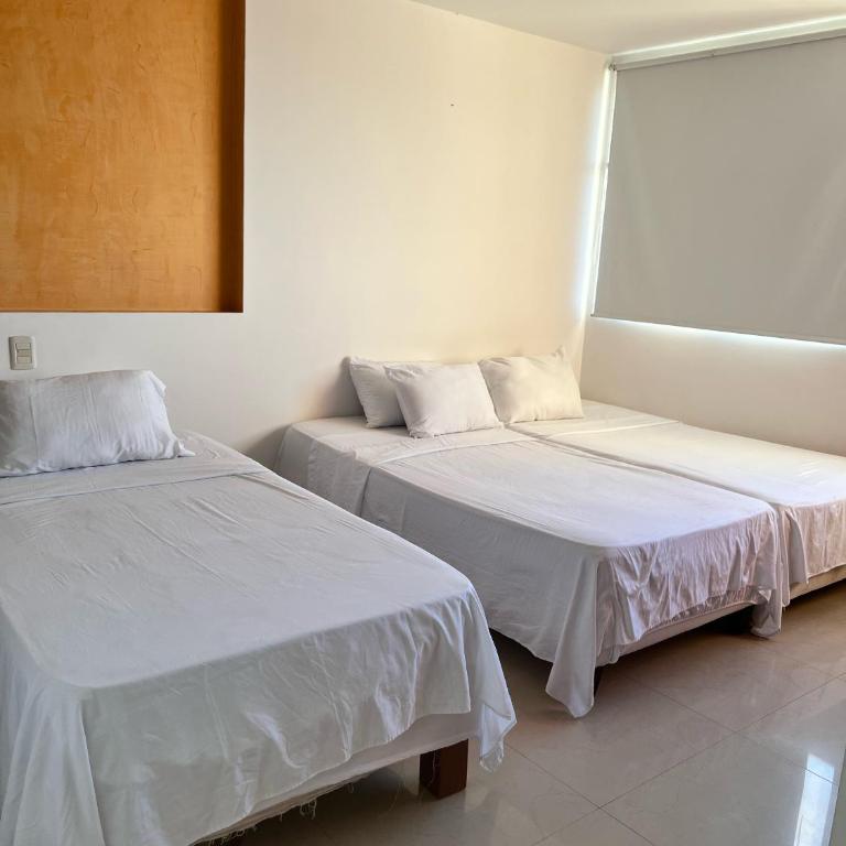 Apartmento con vista al mar, Palmeto - Apartamento de 1 dormitorio - 19