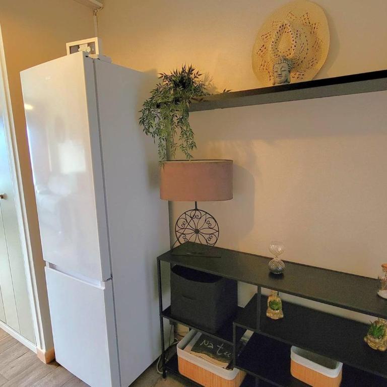 Studio cosy 2 pers au pied des pistes - FR-1-393-176 - Monolocale - 10