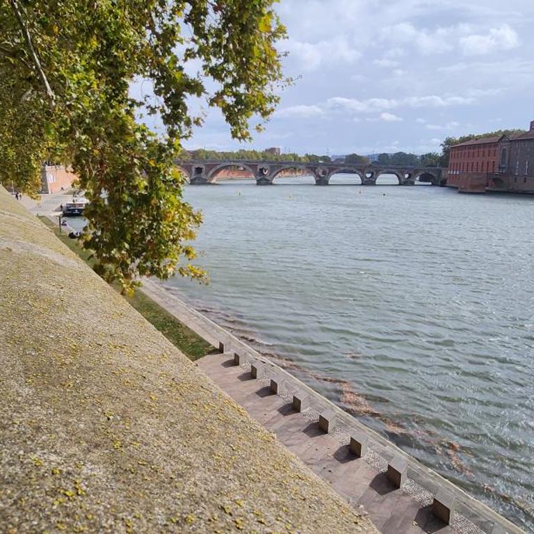 Appartement Hyper centre historique Toulouse capitole cosy - Appartement 1 Chambre - 29