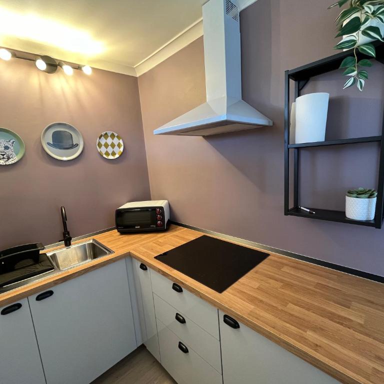 Trastevere Penthouse - One-Bedroom Apartment - 3