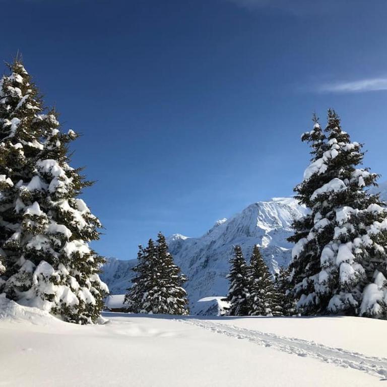 Mountain Cabin - vue montagne - 4 personnes - Chalet - 22