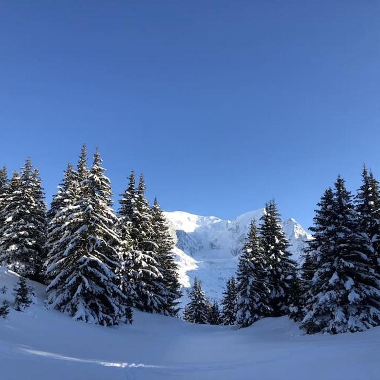 Mountain Cabin - vue montagne - 4 personnes - Chalet - 19