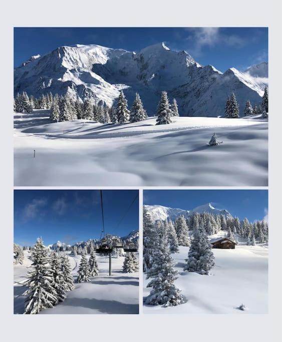 Mountain Cabin - vue montagne - 4 personnes - Chalet - 20
