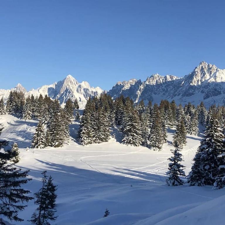 Mountain Cabin - vue montagne - 4 personnes - Chalet - 23