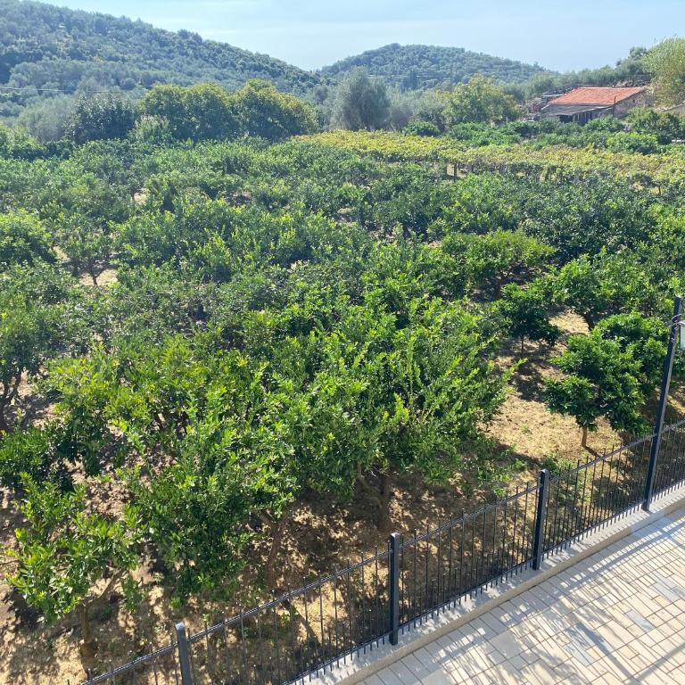 PRINCESS - Valdanos - Apartman sa 2 Spavaće Sobe i Terasom - 16