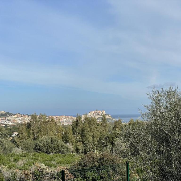 Appartement T2 avec vue mer et citadelle - Apartment mit 1 Schlafzimmer und Meerblick - 12