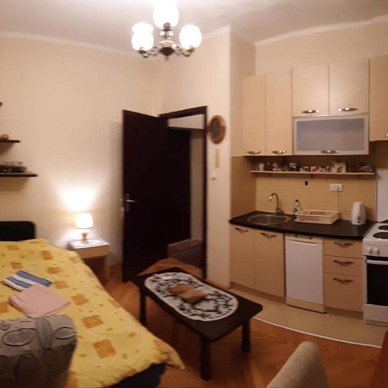 Apartment Heart of Podgorica - Apartman sa 1 Spavaćom Sobom - 12