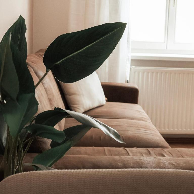 Cozy and charming apartment near city centre with 2 bathrooms - Apartment mit 2 Schlafzimmern - 35