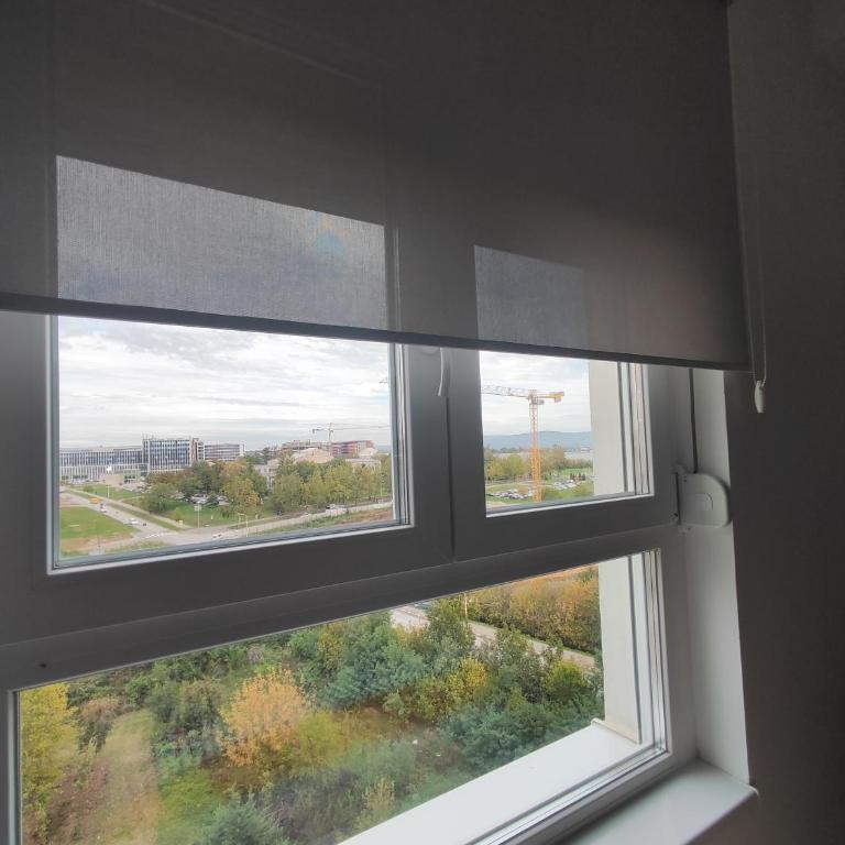 Djokic studio Novi Bubanj - Apartman sa 1 Spavaćom Sobom - 4