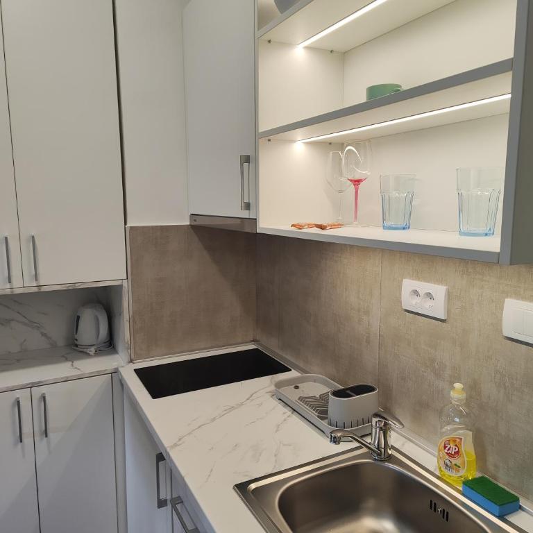 Djokic studio Novi Bubanj - Apartman sa 1 Spavaćom Sobom - 9