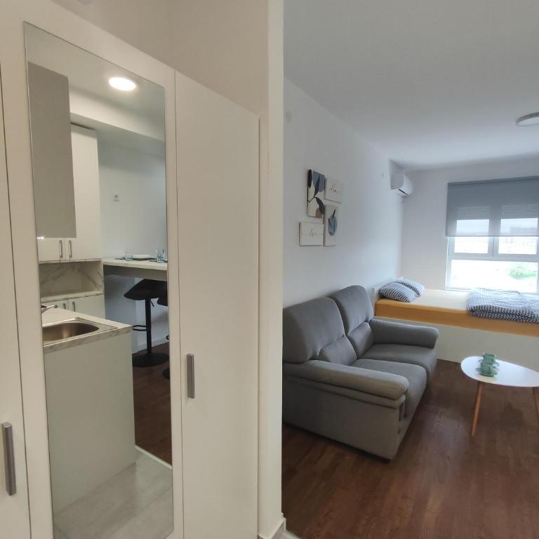 Djokic studio Novi Bubanj - Apartman sa 1 Spavaćom Sobom - 12
